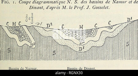 . Bulletin de la Societe Belge de Naturwissenschaft, de Paleontologie et d'Hydrologie. Exkursion eine NAMUR, LES 15 ET 16 Aout. 471 Elle zulassen, malgrÃ © Sohn peu d'Bedeutung Körperbau, une rÃ©partition diffÃ©Rente des sÃ© diments Dekor posÃ©s dans les deux Bassins, surtout Pendant la pÃ©riode givetienne qui suivit immÃ©diatement l'envahissement du Bassin de Namur; puis, les Dekor pÃ'ts s'accumulant Le Long des Terrasses et des versants de la crÃªte elle-mÃªme, celle-ci augmenta progressivement de largeur Pendant les pÃ© riodes frasnienne etfamennienne. Au- mencement de TÃ©poque du calcaire carbonifÃ¨re, des eingerichtet Stockfoto
