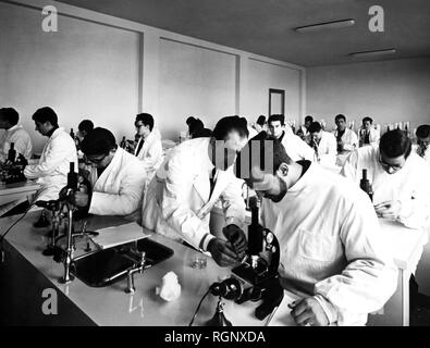 Italia, Roma, lezione di patologia Generale all'Università Cattolica del Sacro Cuore, 1960 Stockfoto