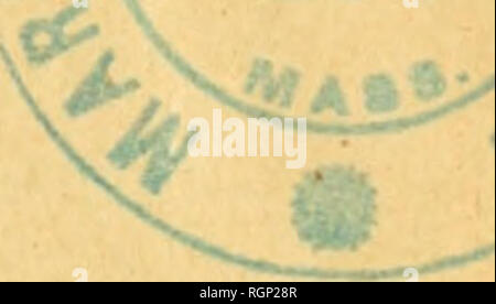 . Bulletin de la SociÃ©tÃ© des sciences naturelles de l'Ouest de la France. Natural History - - Frankreich. BULI. ETIN DE LA SOCIÃTÃ DES SCIENCES NATURELLES DE L'OUEST DE LA FRANCE EXTRAITS DE PROCÃS-VERBAUX. SÃ©ance du 10 janvier 1902 PrÃ©sidence de M.F..1. Iircsidcnl Bonnkl, M. le SecrÃ©taire donne Vortrag du procÃ¨s-verbale de la der-niÃ¨re sÃ©ance; la rÃ©daction en est adoptÃ © e sans Beobachtung. PrÃ© senlation de Nouveaux membres: Mitglied: M. titulaire Rey, Professeur de Sciences Naturelles au LycÃ©e, 2, rue FÃ©lix, à Nantes; prÃ©sentÃ © par MM. Bonnel et Ch MÃ©nier. Mitglied correspondant: M Stockfoto