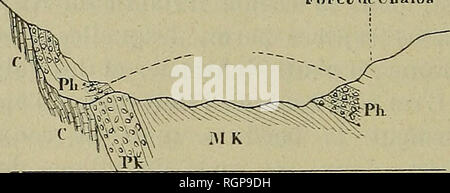 . Bulletin de la SociÃ©tÃ© gÃ©ologique de France. Geologie. 12 REPELIN. Â SUR LA VERFASSUNG GÃOLOGIQUE reprÃ©sentent ts La partie infÃ©rieure des Dekor pÃ'helvÃ©tiens Dekor crits par M. Pomel dans l'Ã©tude du Massif de Milianah. Roche Ã © ruptive. Ses Relations avec l'HelvÃ©Tien. "Elle a Ã©tÃ© Dekor si-gnÃ©e par MM. Curie et Flamand (1) Sous Le nom de augit - andÃ © site À pyroxÃ ¨ ne. Ses Relations avec l'HelvÃ©tien ont Ã©tÃ© signalÃ © es depuis longtemps par M. Pomel. Elle est Venue au ts jour à Travers les Dekor pÃ'helvÃ©tiens qu'elle a soulevÃ©s, © rablement modifiÃ considÃ©s et mÃªme recouverts en partie. Lor Stockfoto