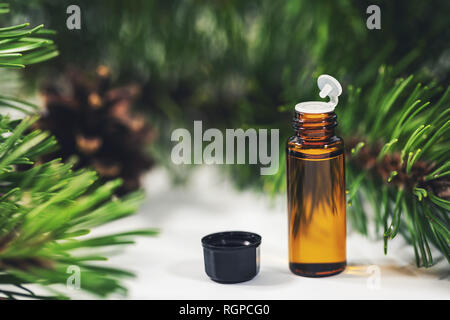 Kleine Flasche wesentliche Pine Tree Öl Stockfoto