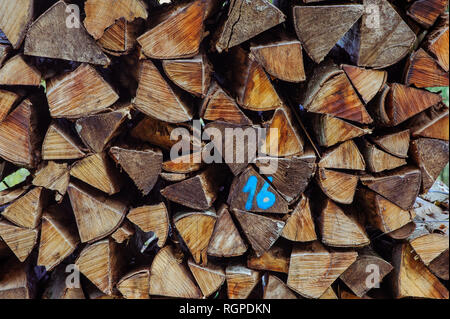 Protokolle von Holz in Holz gehackt, markierte Nummer 16 Stockfoto