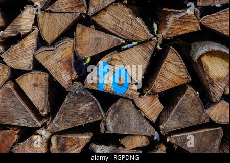 Protokolle von Holz in Holz gehackt, mit der Nummer 10. Stockfoto