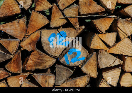 Protokolle von Holz in Holz gehackt, markierte Nummer Zwölf. Stockfoto