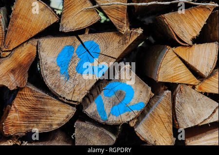 Protokolle von Holz in Holz gehackt, markierte Nummer Zwölf. Stockfoto