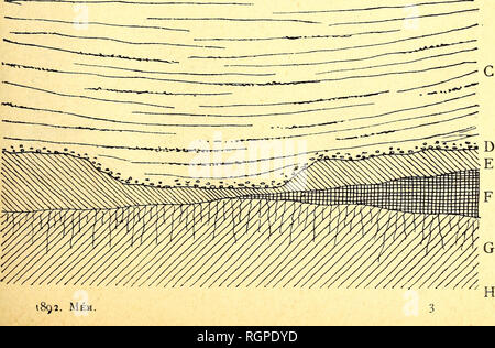 . Bulletin de la société belge de Géologie, de paléontologie et d'Hydrologie. Geologie und Paläontologie. . Bitte beachten Sie, dass diese Bilder sind von der gescannten Seite Bilder, die digital für die Lesbarkeit verbessert haben mögen - Färbung und Aussehen dieser Abbildungen können nicht perfekt dem Original ähneln. extrahiert. Société belge de Géologie, de paléontologie et d'Hydrologie. Bruxelles: Die Gesellschaft Stockfoto