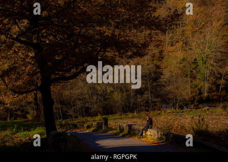 Seitenansicht der anonymen Person sitzen, die auf Stein Grenze in der Nähe von Pfad und Schöne Herbst Wald an einem sonnigen Tag in Portugal Stockfoto