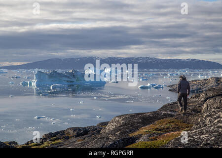 Mann an Eisberge in Rodebay, Grönland suchen Stockfoto