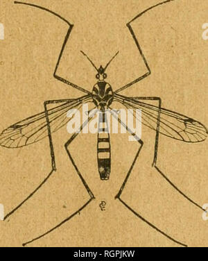. Bulletin de la SociÃ©tÃ© entomologique de France. Entomologie. 1920. - R17. BULLETIN JDE L, A. r r SOCIETE FONDÃE ENTOMOLOGIQllÃ DE FRANCE LE 29 FÃVRIER1 32'-^"^^ Ã® 5^^ COMME INSTITUTION RECONNUE D'UTILITÃ FiÃl 1 Q&amp;]^921) PAR DÃCRET DU 23 Aout 1878 J Natura maxime Miranda in geringfügig. .^''. PARIS AU SIÃGE DE! LA. HOTEL DES SOCIÃTÃ SOCIÃTÃS SAVANTES 28, Rue Serpente, VF 1920^â â ein Le Bulletin paraÃ® t Deux Fois par Mois.. Bitte beachten Sie, dass diese Bilder aus gescannten Seite Bilder, die digital für die Lesbarkeit verbessert haben mögen - Färbung und Aussehen dieser Illu extrahiert werden Stockfoto
