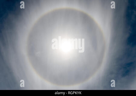 22 Grad Halo, ein Ring von Licht 22 Grad von der Sonne, die erstellt wurden, als die Sonne Licht durch Eiskristalle in der oberen Ebene Zirruswolken gefunden Stockfoto