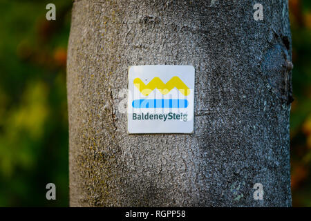 Essen, Nordrhein-Westfalen, Ruhrgebiet, Deutschland, auf den Baum auf der BaldeneySteig Wanderweg am See Baldeneysee gekennzeichnet. Essen, Nordrhein-Westfalen, Stockfoto