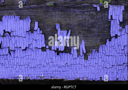Alte blaue Board mit Risse im Lack, vintage Holz Hintergrund, grunge Plank. Alte Holz- uv-Hintergrund mit bleibt der Stücke von Reste der alten Pa Stockfoto