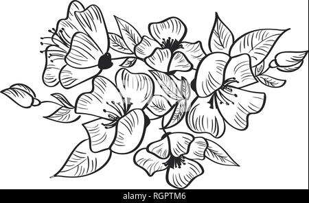 Hand Zeichnung Vektor und skizzieren, Rosa Canina Flower. Schwarz und Weiß mit Line Art Illustration isoliert Stock Vektor