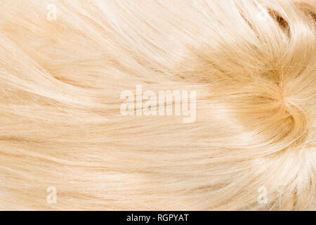 Blond Natural Hair Extensions auf weißem Hintergrund. Clipping patch, kopieren Raum Stockfoto
