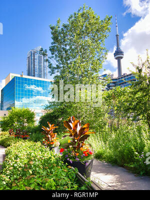 Spadina Quay Feuchtgebiete und CN-Tower, Toronto, Ontario, Kanada Stockfoto