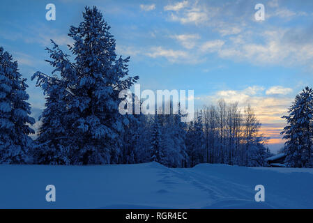 Ein Fragment eines schneebedeckten Straße, Bäume mit Schnee bedeckt, durch Sie den blauen Himmel und den Beginn Sonnenuntergang sehen können Stockfoto