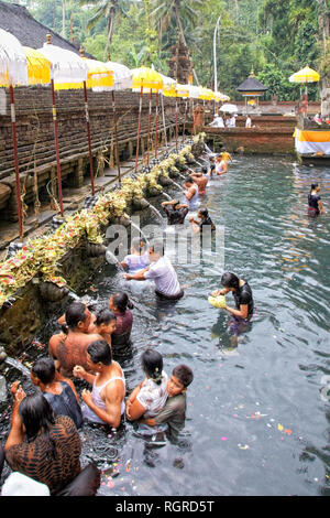 Gebete während des Reinigungsprozesses bei Puru Tirtha Empul Tempel, Bali Stockfoto