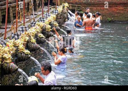 Gebete während des Reinigungsprozesses bei Puru Tirtha Empul Tempel, Bali Stockfoto