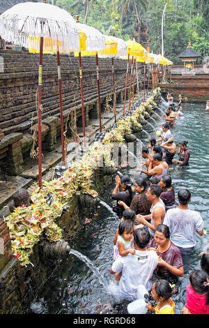 Gebete während des Reinigungsprozesses bei Puru Tirtha Empul Tempel, Bali Stockfoto