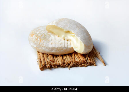 Tomme vaudoise, Schweizer Kaese Stockfoto