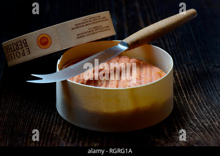 Epoisses de Bourgogne, Epoisse Stockfoto