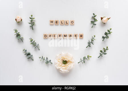 Hallo Dezember Wörter auf weißem Hintergrund Stockfoto