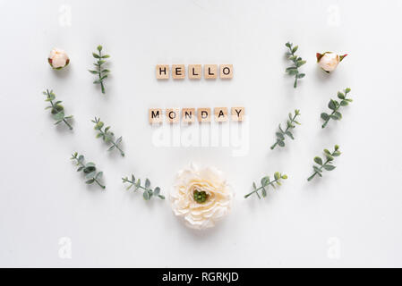Hallo Montag Wörter auf weißem Hintergrund Stockfoto