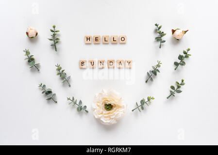 Hallo Sonntag Wörter auf weißem Hintergrund Stockfoto