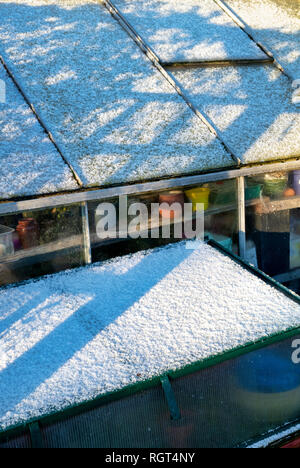 Licht Schnee, ein Gewächshaus und kalten Frame in einem englischen Garten. Großbritannien Stockfoto