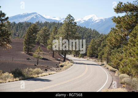 Sunset Crater ist ein schlackenkegel nördlich von Flagstaff im US-Bundesstaat Arizona. Der Krater befindet sich in der Sunset Crater Volcano National Monument. Stockfoto