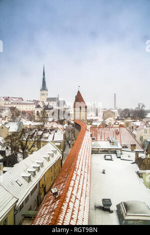 Die Verschneite roten Dächer von Tallinn, von oben gesehen Stockfoto