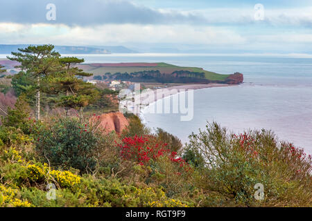 Blick von der Küste weg unten West Down Beacon, in der Nähe von Budleigh Salterton, Devon. Blick nach Osten bis Otter Hören an der Mündung des Flusses Otter. Stockfoto