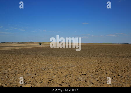 Neu gepflügt, fertige Feld für landwirtschaftlichen Anbau. Stockfoto