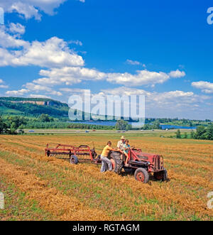 Die Landwirte schneiden es Felder mit Traktor und andere Hilfe in Ontario, Kanada, Nordamerika Stockfoto