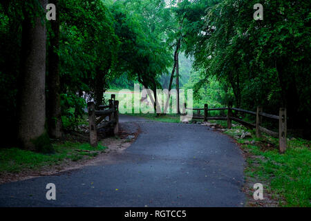 Der Weg schlängelt sich durch die Bäume an Shelley See Park in Raleigh, North Carolina. Vorsicht Band wird verwendet, um den Baum, auf dem ein Adler n-Markierung Stockfoto