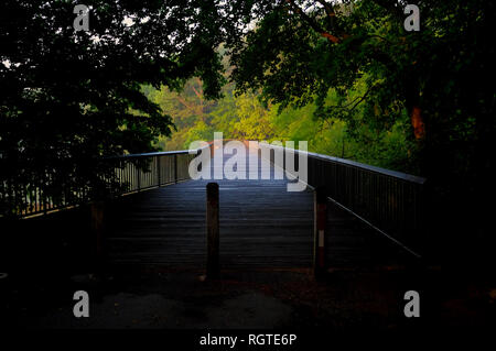 Aus dem dunklen Wald canonpy der Steg entlang der Greenway an Shelley See Park in Raleigh, North Carolina. Stockfoto
