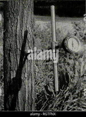 . Bulletin. Natural History; Natural History. August 1945 Carter: Wetwood von Ulmen 431 gesichert mehrere Umdrehungen für die größte mögliche Exposition von erkrankten Wald neben dem Loch in den Kofferraum zu ermöglichen. Dieses Verfahren eliminiert Fehler. Abb. 25. - Apparate für die Messung von Druck in den Leitungen von Ulmen mit nassen Holz betroffen. Das Manometer am äußeren Ende der Schrittweite borer Schnecke befestigt. Der Druck wird durch das Messgerät aufgezeichnet werden, wenn die Schnecke die wetwood - betroffene Wald betritt, aber Druck- nungen werden erst nach der Wood Core genommen hat von der Schnecke entfernt wurde. (Siehe Text, Seiten 430 Stockfoto