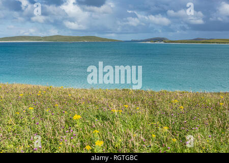 Idyllische Meereslandschaft mit wildflower Meadow, Insel Barra, Äußere Hebriden, Schottland, UK Stockfoto