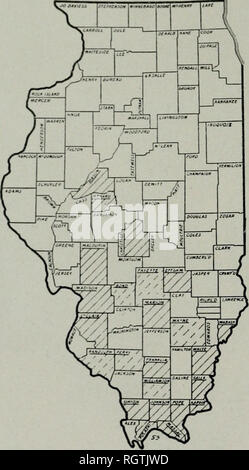 . Bulletin. Natural History; Natural History. 140 Illinois Natikai. Histohy Sikviiy Billkti. n QUERCUS STELLATA Wangenheim Post Oak Die Eiche ist ein Baum des nur moderaten Höhe, mit einem Ijroad Krone der Stout, dichten Ijranches. Die zutiefst r) - lol) ed Blätter, 4 bis 5 Zoll lang und 3 bis 4 Zoll breit, dick sind, dunkel-grün oberhalb und unterhalb von samtigen Haare bedeckt. Ihre stout Blattstiele werden aus "^^bis 1 Zoll lang. Die staminate Stollen sind o oder 4 Zoll lang, und die pistillate Blumen stehen allein an sehr kurzen Stielen. Die hell-braun, Behaart - gespitzt, Eicheln, jA bis 1 Zoll lang, sind über J<3o Stockfoto