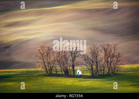 Linien und Wellen mit Bäumen und Kapelle im Frühling im Bereich als Mährischen Toskana, Südmähren, Tschechische Republik Stockfoto