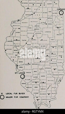 . Bulletin. Natural History; Natural History. September 1943 Braun & Amp; Yeager: Befragung von Pelz Ressource 497 im Alter von Pelzen beliefen sich auf 7, 13 und 14 Prozent für den Norden, Zentrum und Süden - ern Zonen, beziehungsweise. Der Schaden wurde Prob- meist durch Hunde verursachte, und war häufig bei Pelzen in der Nacht jagen - ers. Der Prozentsatz der beschädigte Felle zeigte sich eine Korrelation von Zonen mit der Höhe der Nacht auf der Jagd. Andere Ursachen der Schäden waren Nachlässigkeit in der Häutung und Stretching, worin Pelze wurden geschnitten oder gerissen; die Brandbekämpfung durch die Tiere, bevor oder nachdem Sie in Fallen genommen waren; und Verderb. Schäden Stockfoto