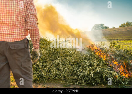 Landwirt brennen die Zweige nach der Beschneidung die Olivenbäume. Mann mit Arbeitskleidung beobachten das grosse Feuer und Rauch im Bereich der an einem sonnigen Tag. Stockfoto