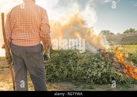 Landwirt brennen die Zweige nach der Beschneidung die Olivenbäume. Mann mit Arbeitskleidung beobachten das grosse Feuer und Rauch im Bereich der an einem sonnigen Tag. Stockfoto