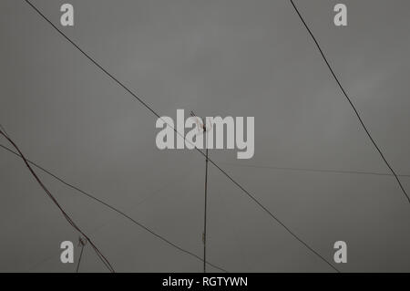 Dunklen Wintertag mit Sturm verursacht Störungen und das TV-Signal ausfällt. Stürmisch und bewölkt Hintergrund mit Fernsehen Antennen und Kabeln. Stockfoto