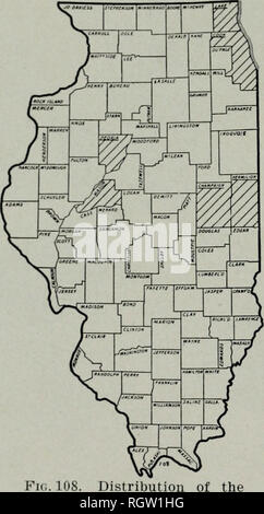 . Bulletin. Natural History; Natural History. 264 Illinois Natikal Geschichte Siiivfa" Billktin Lixxaeus Hartriegel CORNUS ALTERNIFOLIA der Hartriegel ist ein sehr kleiner Baum, mit einem dichten, abgeflachter Krone der schlanken, Verbreitung hranches. Hright Tiie dünn, gelb-grün, spitze Blätter, meist abwechselnd auf dem hranchlets und 3 bis 5 cm Lang für 2 bis 3 Zoll breit, sind blass, behaart, und manchmal fast weiß unter und stehen auf schlanke, behaarte Blattstiele fast 2 cm lang. Die kleine, creme-weißen Blüten in lockeren, verzweigte Köpfe auf die Spitzen der seitlichen branchlets. Die lockere, Verbreitung, Rot - aufgehaltene Stockfoto