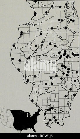 . Bulletin. Natural History; Natural History. 120 Illinois Natural History Survey Bulletin Vol. 28, Artikel 1, ist im Boden und kann viele Yards von der nächsten Wasser sein. Die sphärische Eier sind ausreichende zient elastische Sprungkraft beim Fallen. Cahn (1937) glaubte, einen normal großen Kupplung besteht aus 20 bis 30 Eier, die etwa 33 mm im Durchmesser. Hatchlings sind im Ausland im September und Oktober. Einige sind auf Autobahnen zu diesem Zeitpunkt gefunden, vor - ihren Weg sumably von Nest zu Wasser. Illinois Verteilung. - Die gemeinsame Snapper tritt fast in jedem Teich und Bach innerhalb des Staates, Abb. 108. Stockfoto