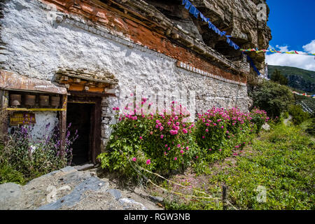 Bunte Blumen blühen vor Praken Gompa, ein Kloster in eine Felswand hoch über dem Dorf gelegen Stockfoto