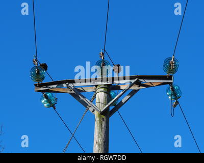 Overhead elektrische Stromleitungen mit blauem Glas Isolatoren und einem klaren, blauen Himmel Hintergrund Stockfoto