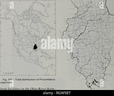 . Bulletin. Natural History; Natural History. 380 Illinois Natural History Survey Bulletin 1 Vol. 33, ein. 4. Abb. 108. âTotal Verteilung der Procambarus viaeviridis. von Gemeinden in den Ohio River Abfluss - Alter in Alexander, Johnson, Massac, Papst, und Pulaski Counties. Die größten Populationen sind in der Zypresse Sümpfe {besonders Heron Pond-Little Schwarz Slough und Bell Teich) in Johnson County. Leben Geschichte. âOther als kurze Bemerkungen über seine Affinität für träge und stehende Gewässer, nichts wird auf die ökologischen Eigenschaften der S. inaeviri veröffentlicht worden zu sein - dis. Während der Vor Stockfoto