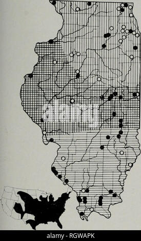 . Bulletin. Natural History; Natural History. November, 1961 Smith: Amphibien und Reptilien von Illinois 221. Abb. 208.- Verteilung der Lampropeltis tri-angulum. Vertikale Schraffur zeigt an, dass die Pre-Sumed Bereich der Unterarten triangulum in Illinois; horizontale Linien, die vermutlich den Bereich der Unterarten syspila, Schraffur, der Bereich der intergradation zwischen den beiden Unterarten; feste Kreise zeigen Gemeinden rep-von Proben während dieser Studie untersucht; offene Kreise, veröffentlichte Aufzeichnungen geglaubt, j, um gültig zu sein. Die untere Karte zeigt die gesamte Bandbreite der Arten, die in der Steuereinheit Stockfoto